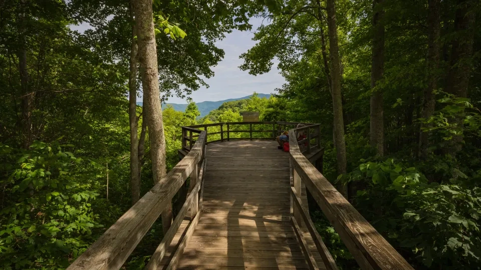 Summer view from Chestnut Ridge overlook with green forested hills under blue skies.