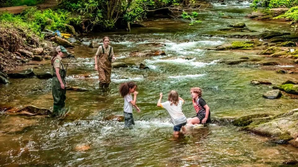 Children and two adults play in a shallow, rocky stream surrounded by greenery.