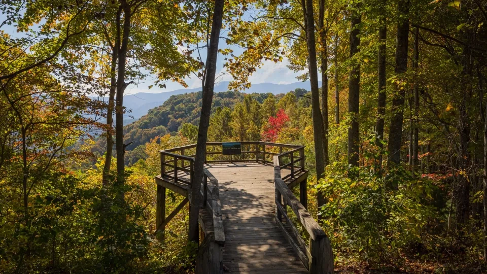 Scenic lookout photo spot with a wooden fence and mountains in the distance at Roan Mountain.
