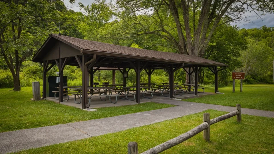 Pavilion at Roan Mountain with picnic tables underneath and surrounded by green grass.