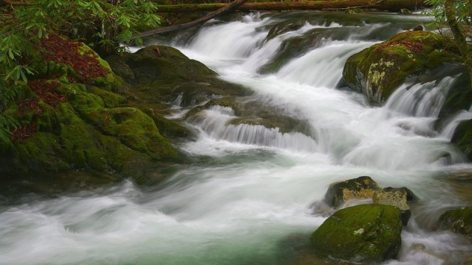 triple waterfall rushing down between mossy rocks, white water