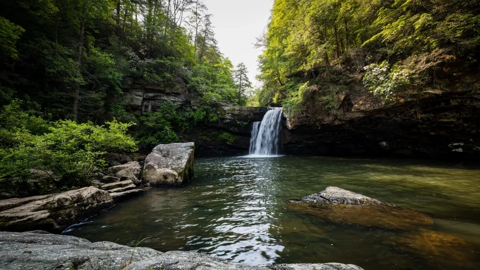 A serene waterfall cascades into a forest pool, surrounded by lush green trees and rocks. Sunlight filters through, creating a tranquil atmosphere.