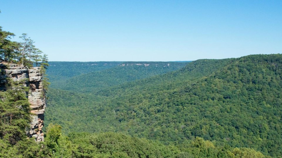 A vast green forested valley stretches under a clear blue sky. On the left, a rocky cliff is topped with sparse trees, conveying a sense of tranquility.
