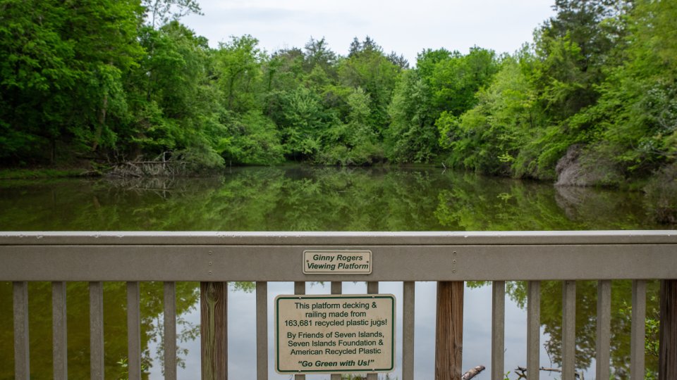 Viewing platform overlooking a tranquil pond surrounded by lush green trees. A sign highlights eco-friendly construction with recycled plastic. Peaceful ambiance.