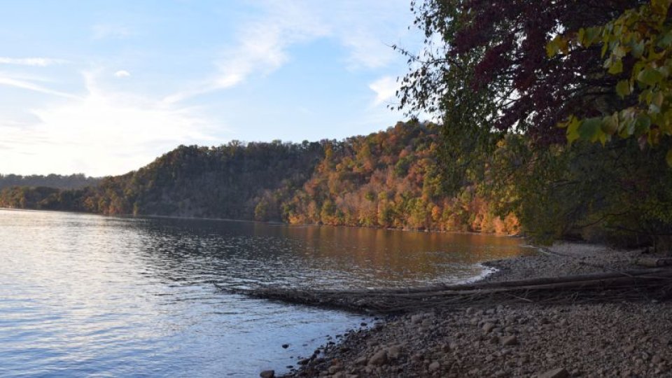 Calm lake with rocky shoreline and driftwood, bordered by autumn-colored trees. Hills in the distance under a partly cloudy blue sky. Peaceful ambiance.