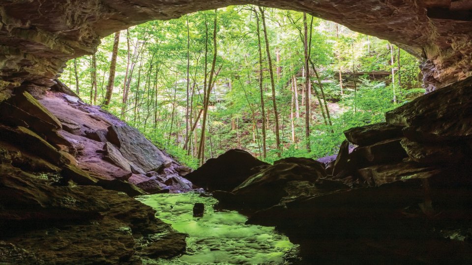 View from inside a rocky cave, looking out to a lush forest. Sunlight filters through the trees, reflecting on a small, serene stream.