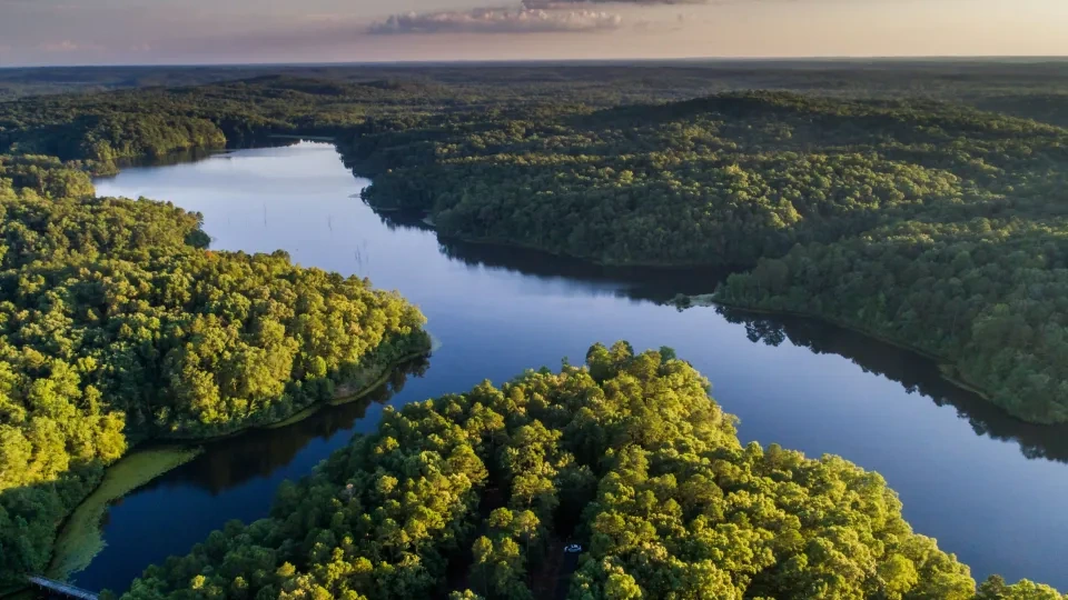 Aerial view of forested landscape with a calm river winding through.