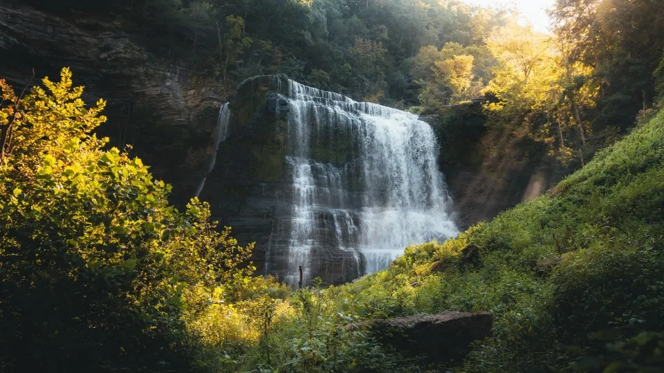 Waterfall surrounded by lush green foliage under soft sunlight.
