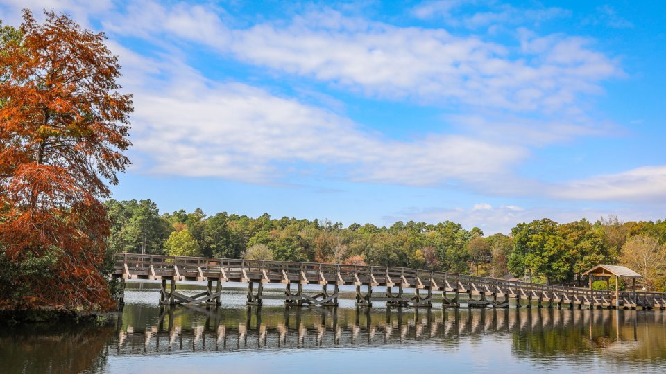 Chickasaw State Park Bridge