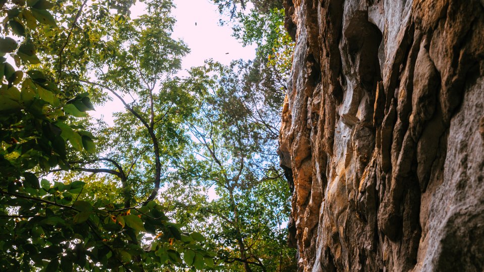 Rocky cliff face on the right with textured surface. Lush green tree canopy on the left, blue sky peeking through, creating a serene natural scene.