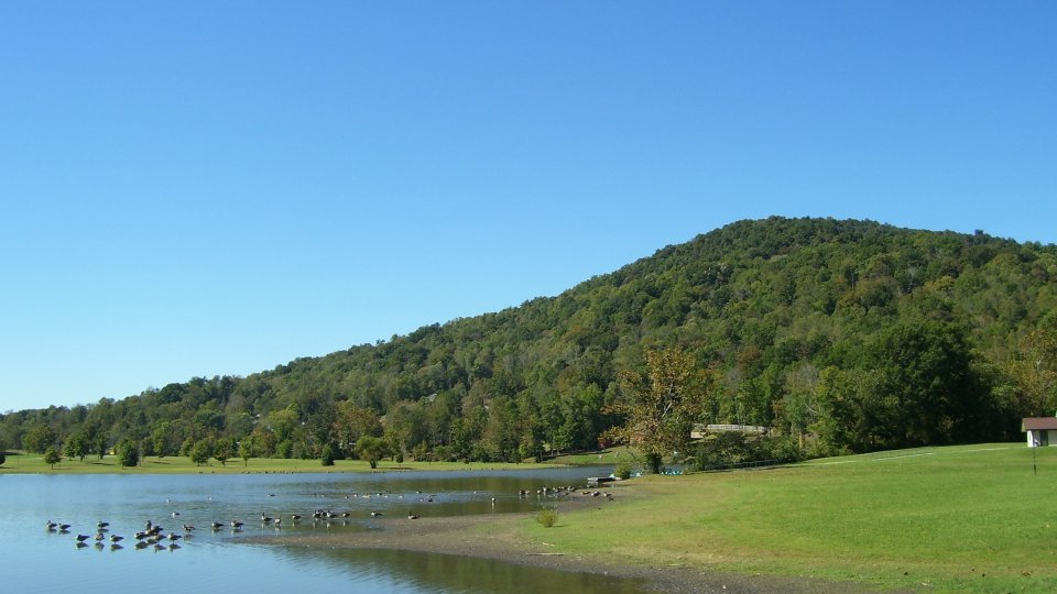 indian mountain covered in green trees with a small lake with ducks floating around