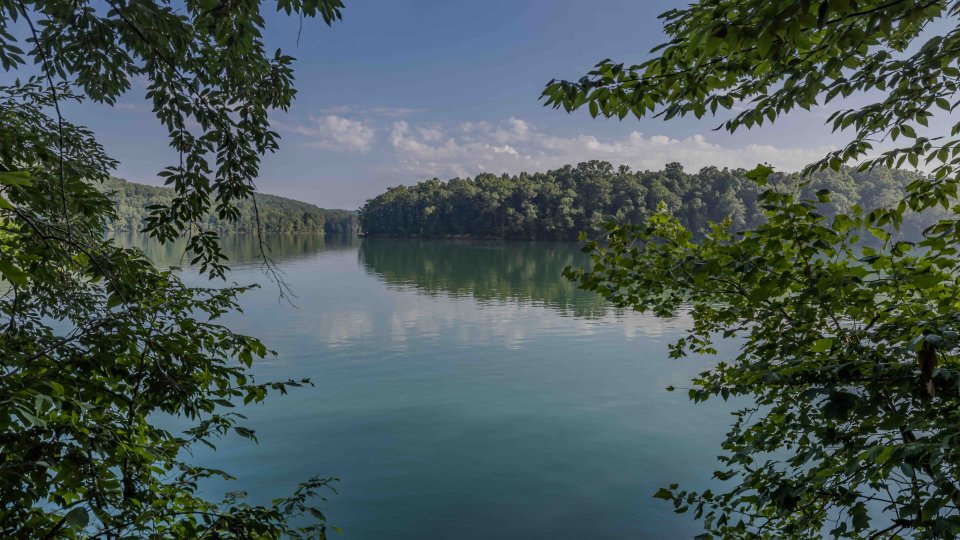view of lake from an open tree area with the water reflecting the trees