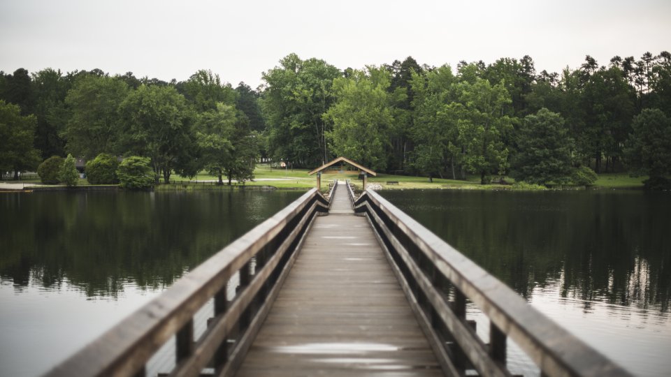 wooden bridge extending across a lake with guard rails.