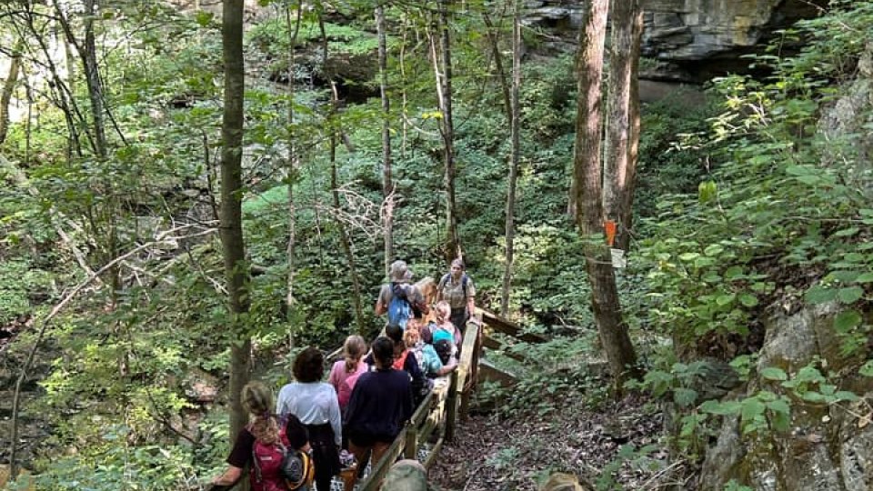 A group of people, some with backpacks, walk down a wooden staircase through a lush, green forest. The scene is serene and shaded by tall trees.