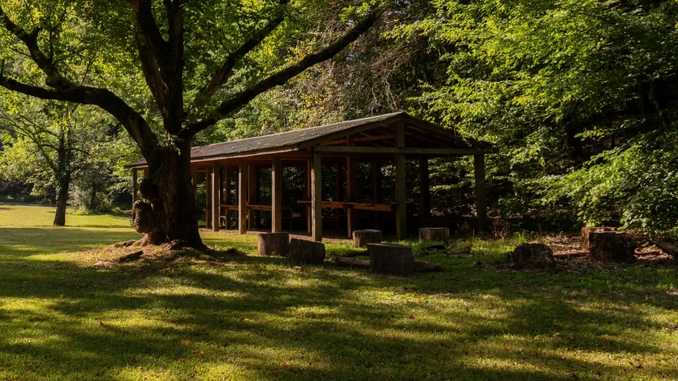 Wooden pavilion under large tree in sunny, green park.
