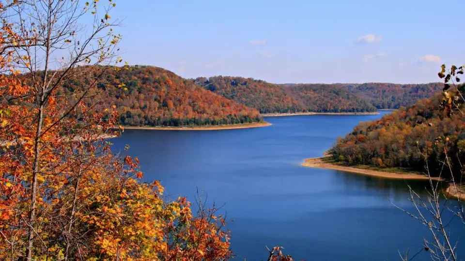 Autumn trees by a calm blue lake under a clear sky.