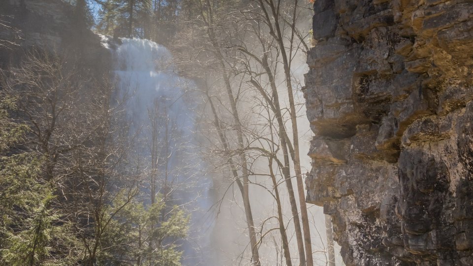 A majestic waterfall cascades down a rocky cliff surrounded by tall trees. Sunlight beams through the mist, creating a serene, ethereal atmosphere.