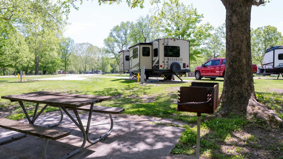 Campsite scene with a picnic table and grill under a tree in the foreground. RVs and a red truck are parked nearby, surrounded by lush green trees.