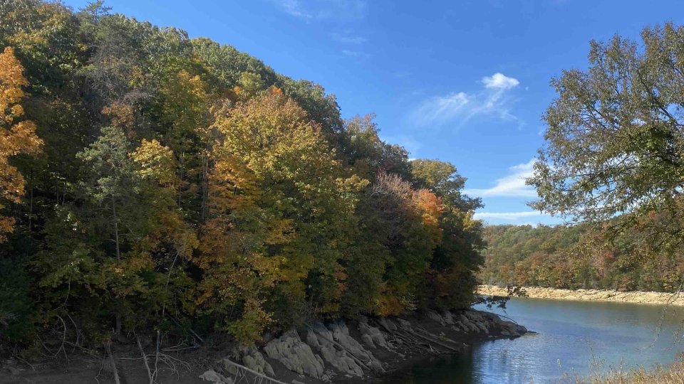 view of river that separates flat grass area and trees