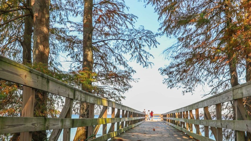Wooden boardwalk leading through tall trees toward a bright, open sky. Two distant figures stand at the end, evoking a sense of adventure and tranquility.