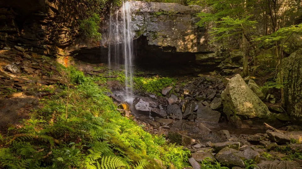 Forest waterfall cascading over rocks, surrounded by lush green foliage.