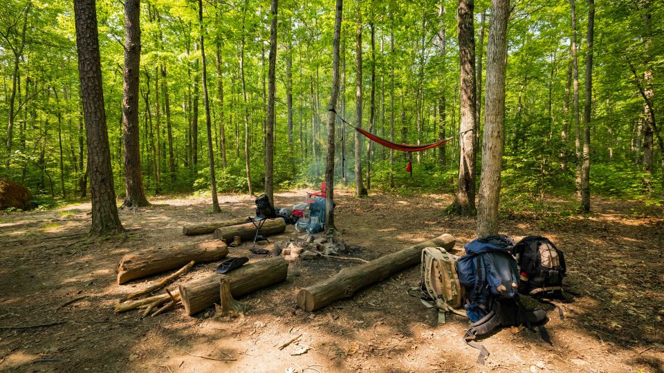 A serene forest campsite with a hammock hanging between trees, a smoking fire pit surrounded by logs, and backpacks resting nearby on the sunlit ground.