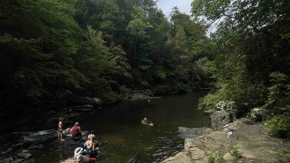 view of people swimming in water from above on a rock