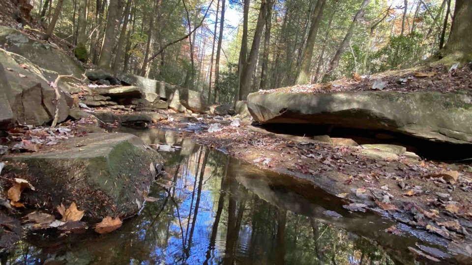 A serene forest scene with a clear stream reflecting tall trees and a bright blue sky. Large rocks and fallen leaves line the water, evoking tranquility.