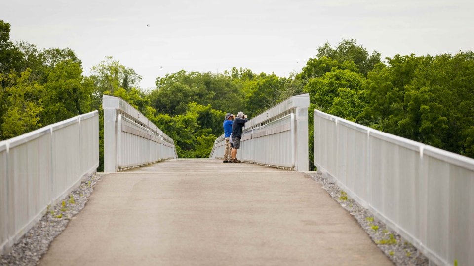 Expansive view of a bridge with two people leaning over the railing, surrounded by lush green trees under an overcast sky, conveying tranquility.