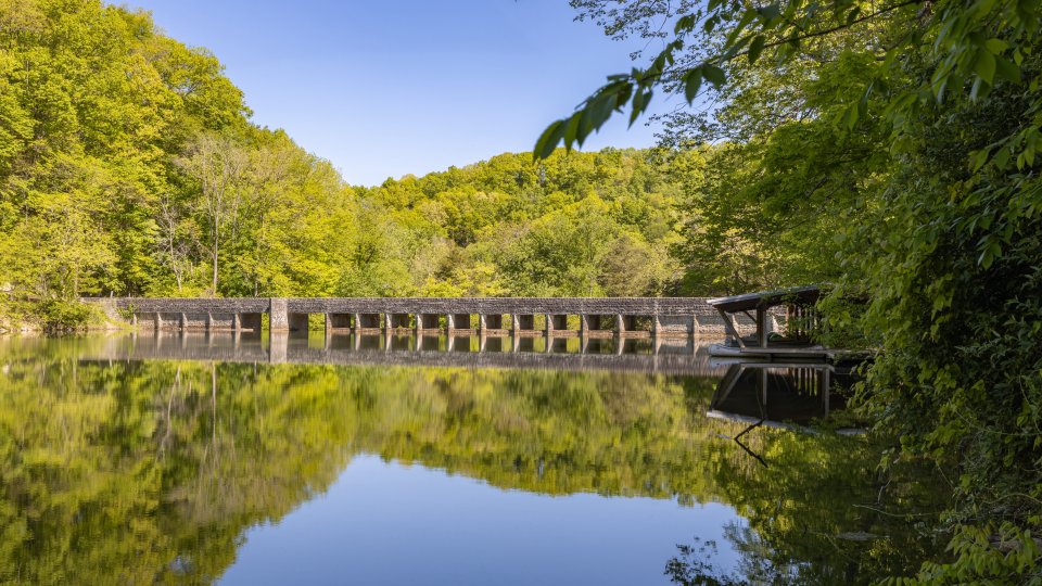 A serene scene with a stone bridge over a calm river, surrounded by lush green trees. The clear sky reflects on the water, creating a tranquil atmosphere.