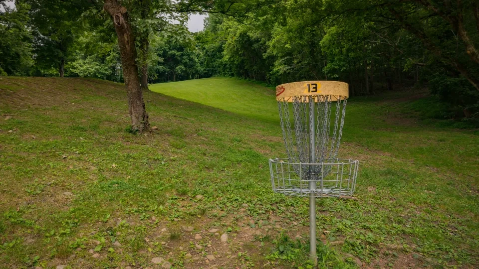 Disc golf basket 13 on a grassy course surrounded by trees.
