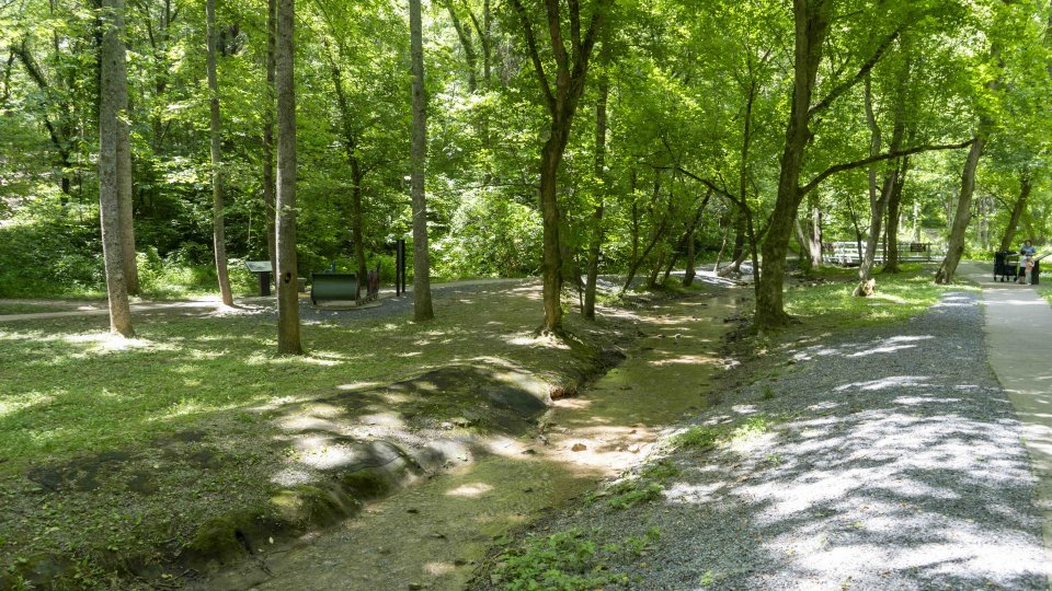 two concrete paved trails surrounded by trees