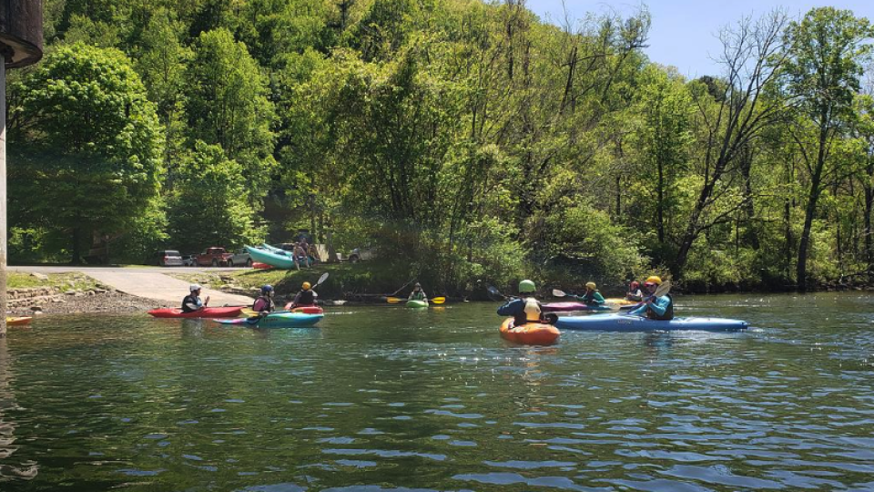 Group kayaking on a calm river with lush green trees in the background.