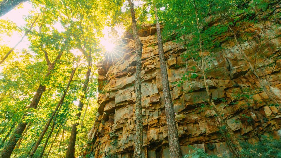 view of below a cliff in a forest with the sun shining through the trees