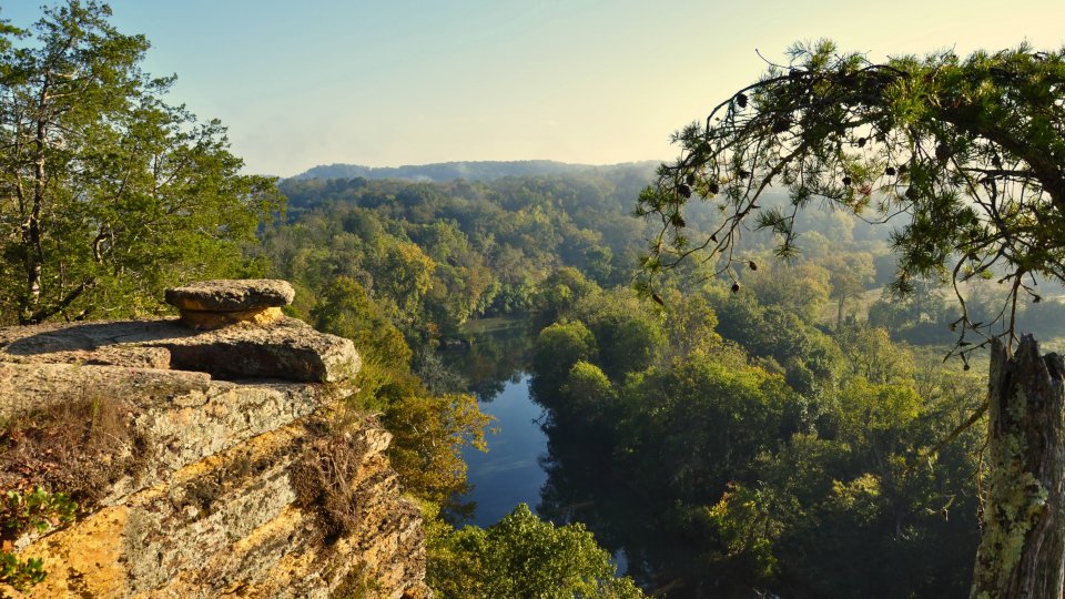 Sunrise over a serene river viewed from a lush, rocky cliff.
