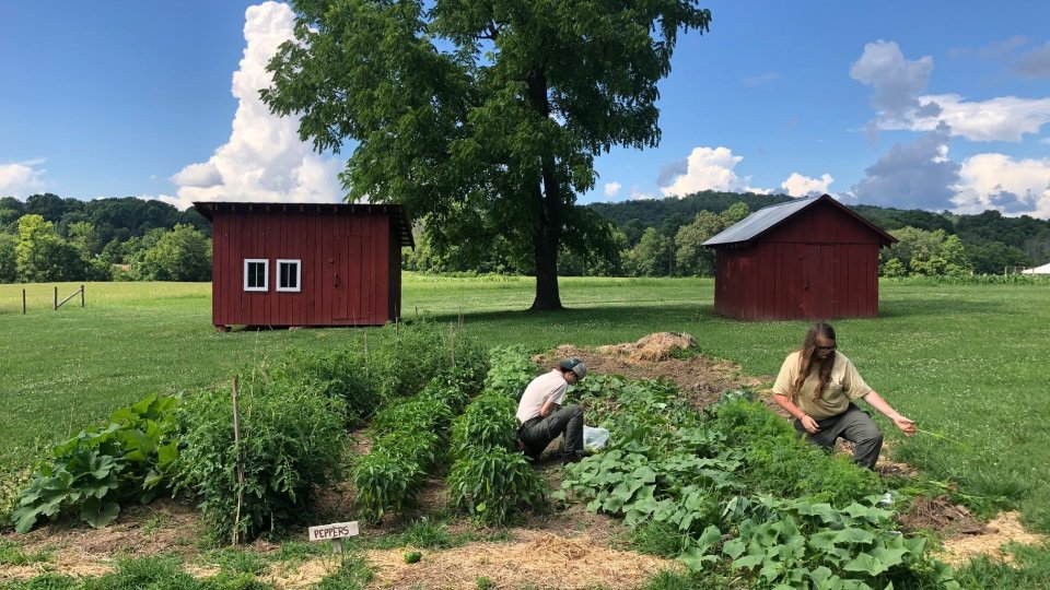 Two people gardening near red sheds in a sunny field.