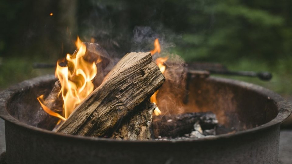 Campfire with burning logs in a metal fire pit, surrounded by greenery.