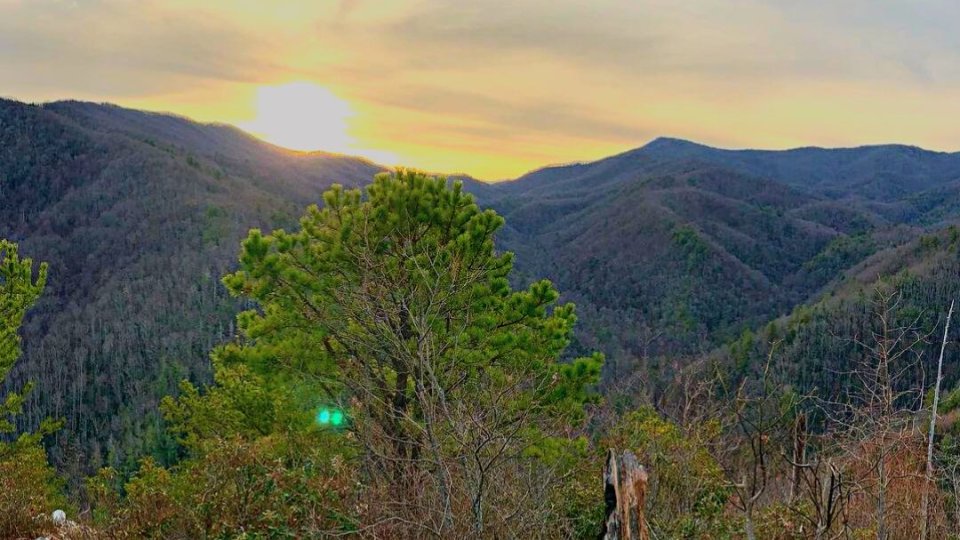 Sunset over a mountainous landscape with a prominent tree in the foreground.