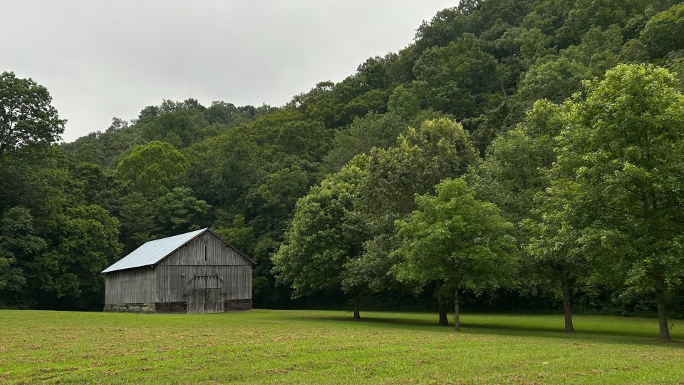 Gray barn near trees on a grassy field, overcast sky.