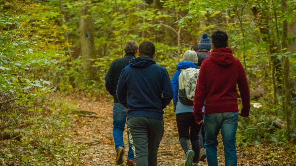 Group walking on a leafy forest path in autumn.