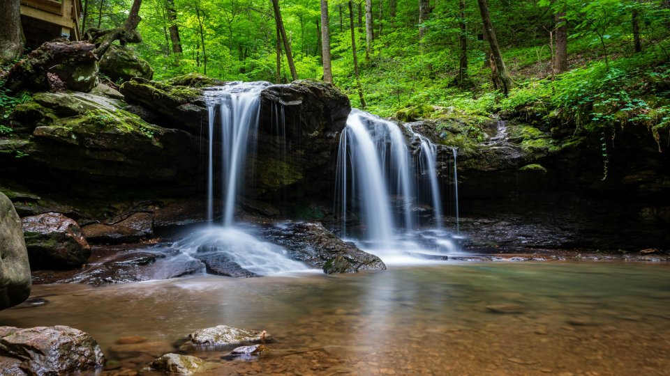Serene waterfall in a lush green forest with moss-covered rocks.