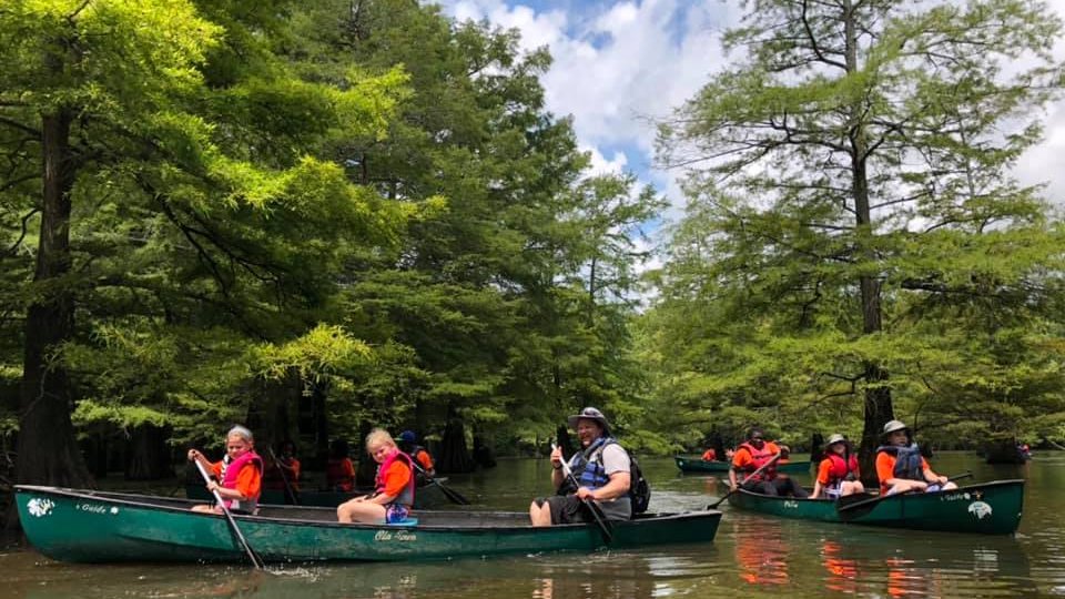 Group canoeing in a tree-lined lake, wearing life jackets.