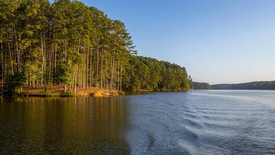 Sunlit lake with tree-lined shores and gentle ripples.