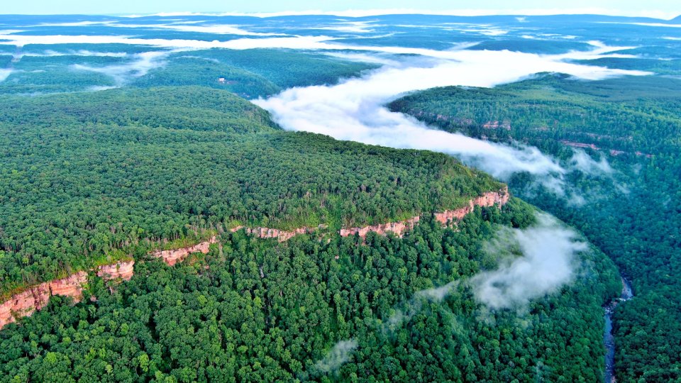 Arial view of a forest taken above the clouds