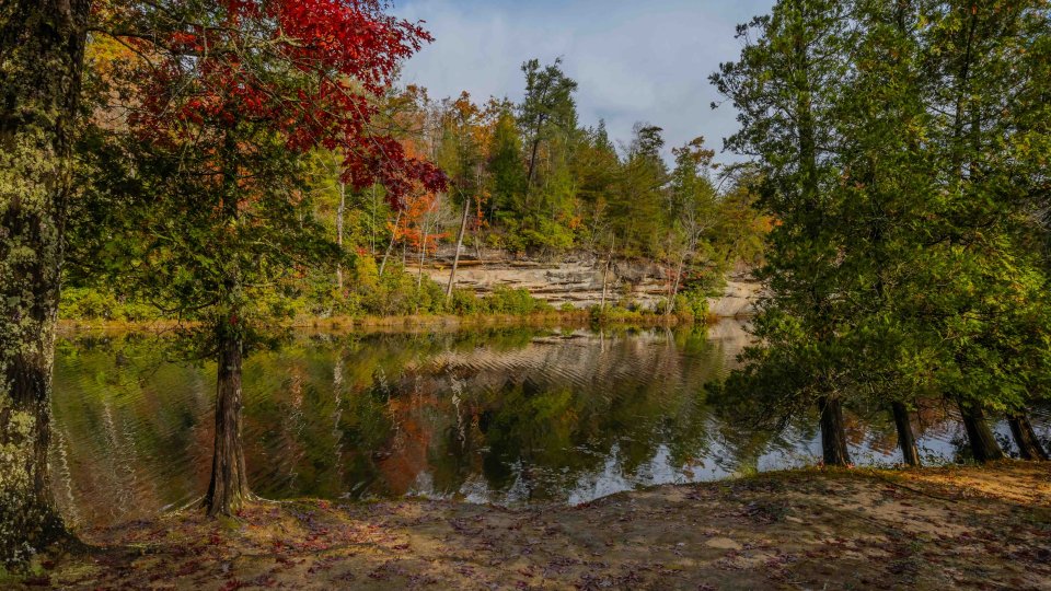 Autumnal forest scene with a reflective lake and colorful foliage.