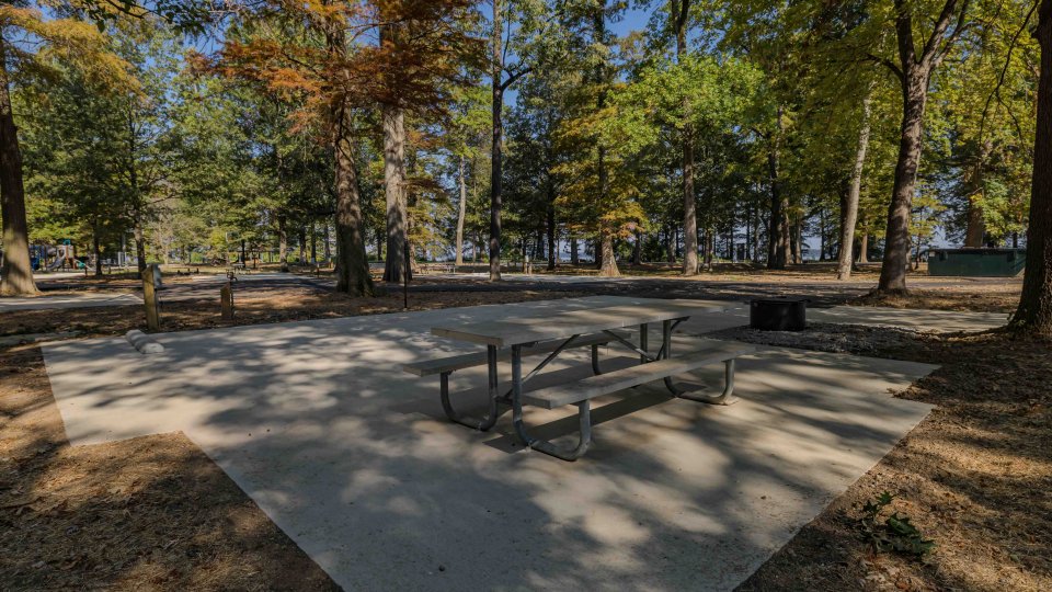 Concrete camping area, surrounded by trees, with a picnic table.