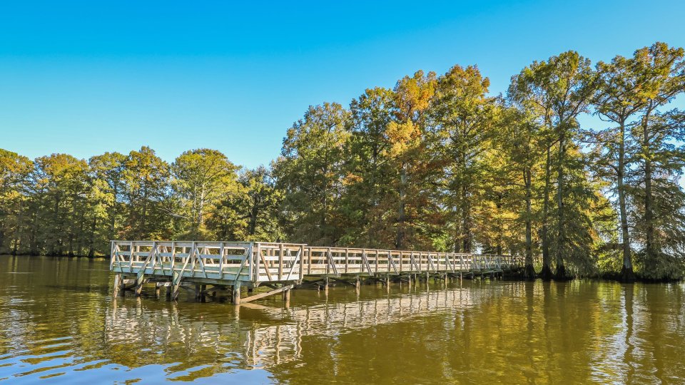 Wooden boardwalk on water with trees in the distance/