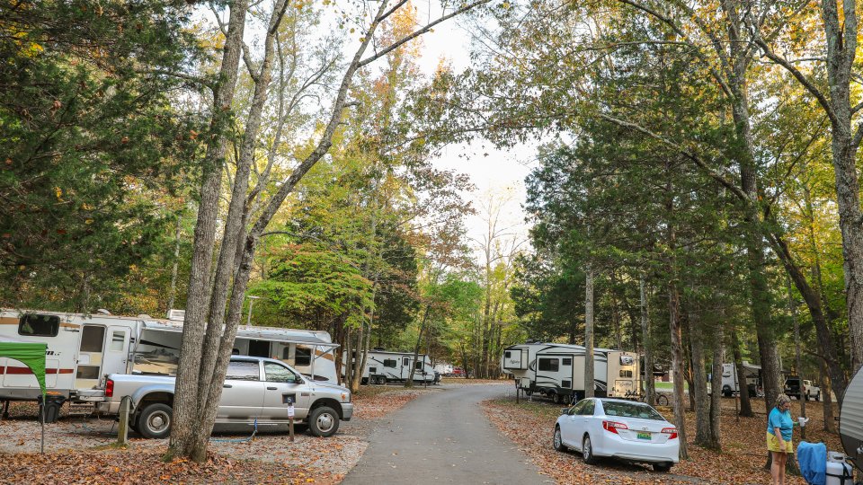 A narrow road leads back through an RV campground during early fall. Several campsites are occupied by vehicles and campers.