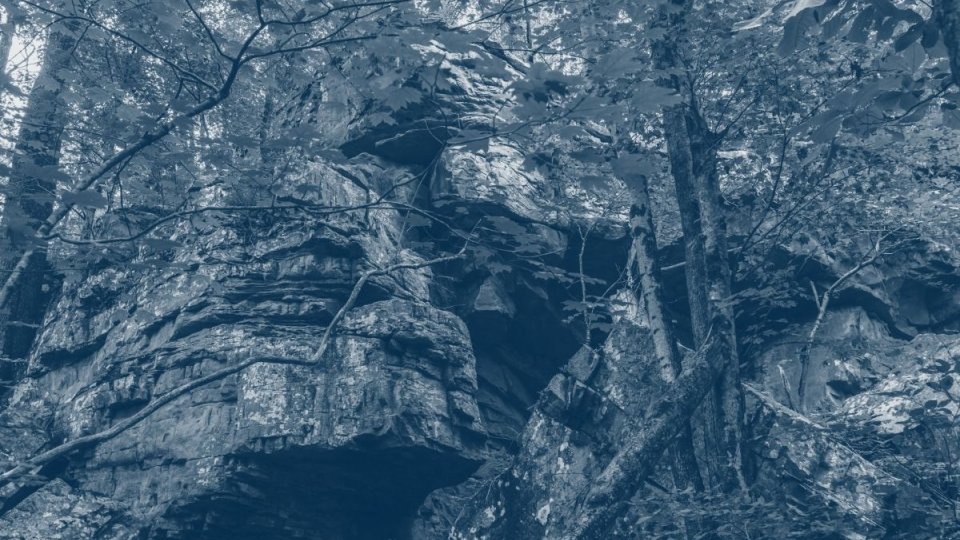 view of the bottom a rocky cliff with some trees