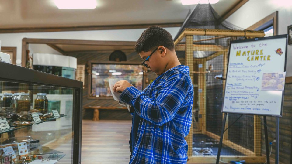 Young man in a plaid shirt browsing products in a shop.